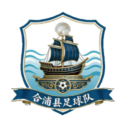 北海市合浦县队队徽